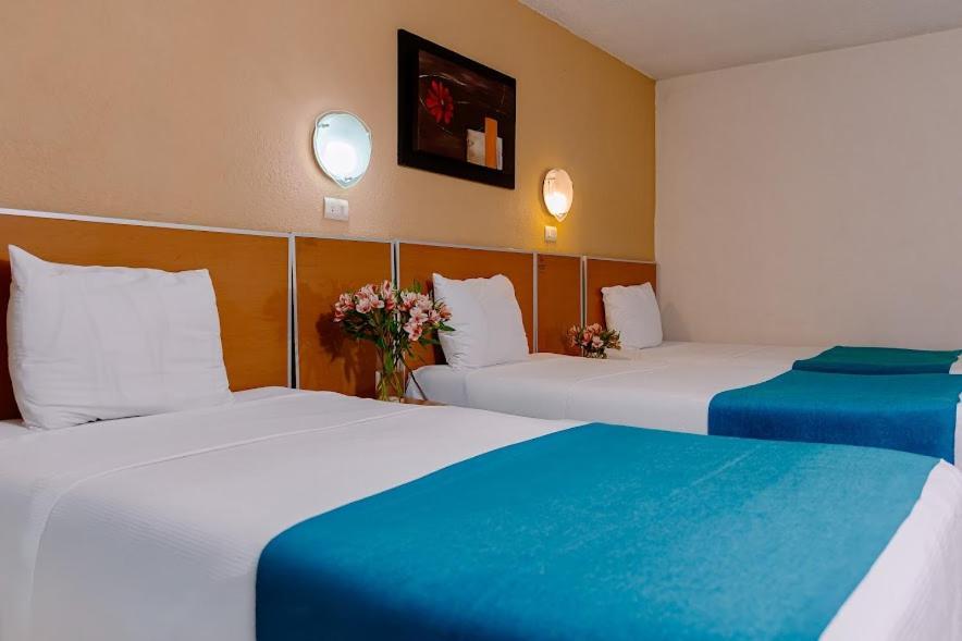 Kasa Hotel & Suites 이라푸아토 외부 사진